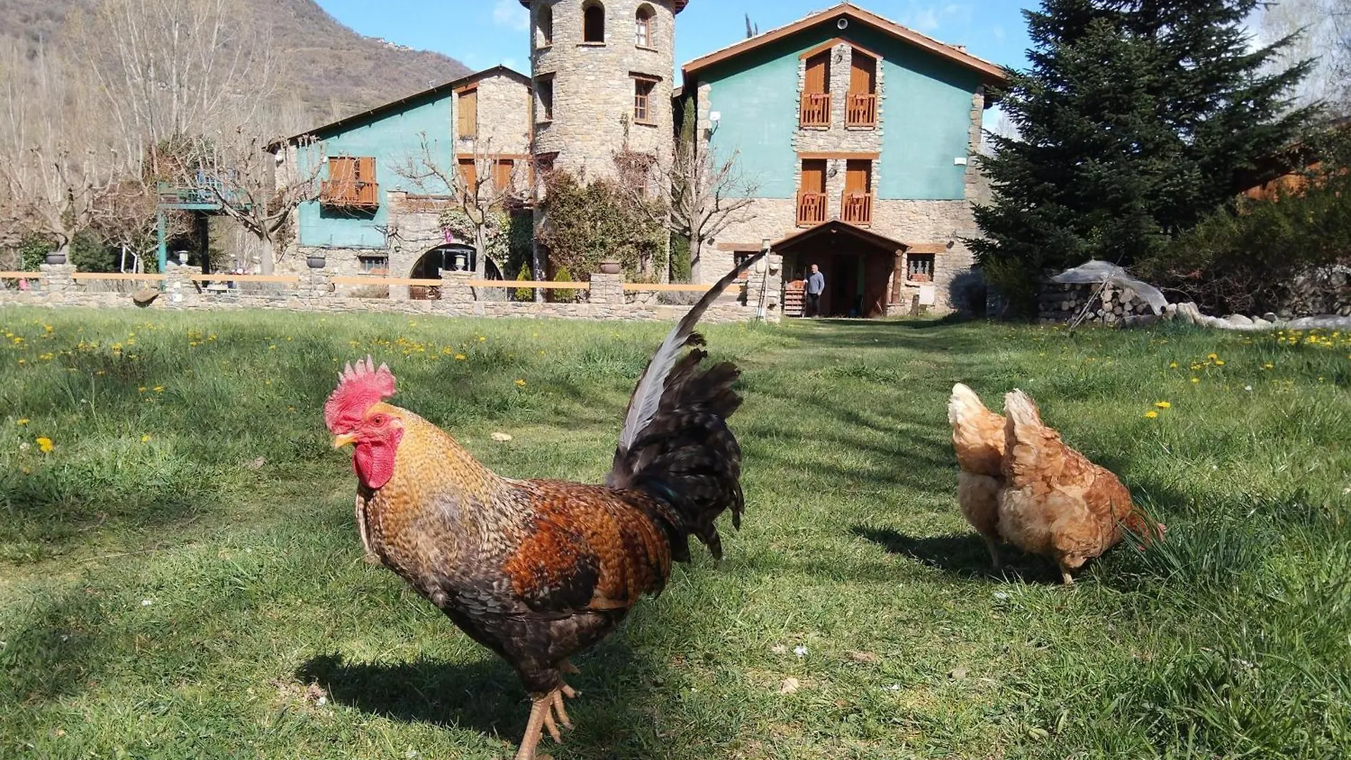 La Borda De Ritort Bed & Breakfast Sort 3*,  Spain